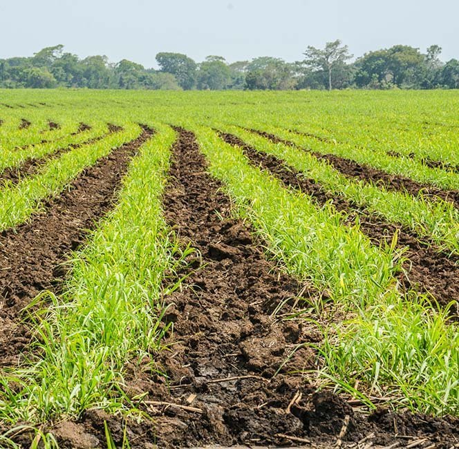 Agua como recurso compartido